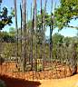 DSC01078.jpg