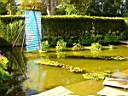 DSC01081.jpg