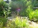 DSC01094.jpg
