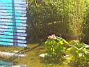 DSC01106.jpg