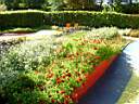 DSC01109.jpg