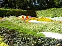 DSC01110.jpg