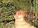 DSCF0579.jpg