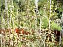 DSCF0580.jpg