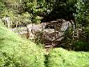 DSCF0582.jpg