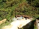 DSCF0589.jpg