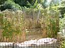 DSCF0590.jpg