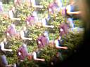 DSCN6851.jpg