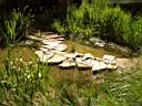 DSCN6888.jpg